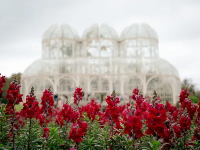 Jardín Botánico de Curitiba brasil garden photography