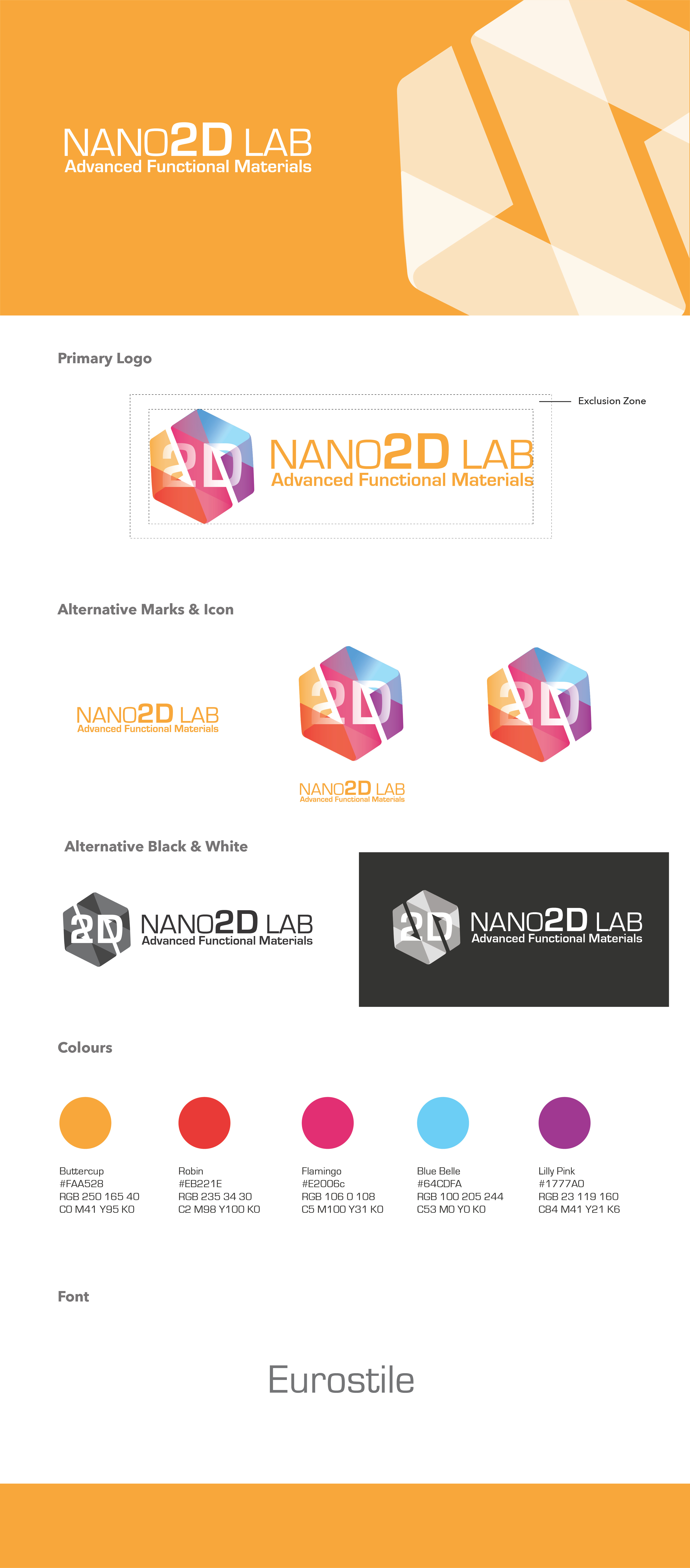 Nano2D Lab Logo Design branding graphic design logo
