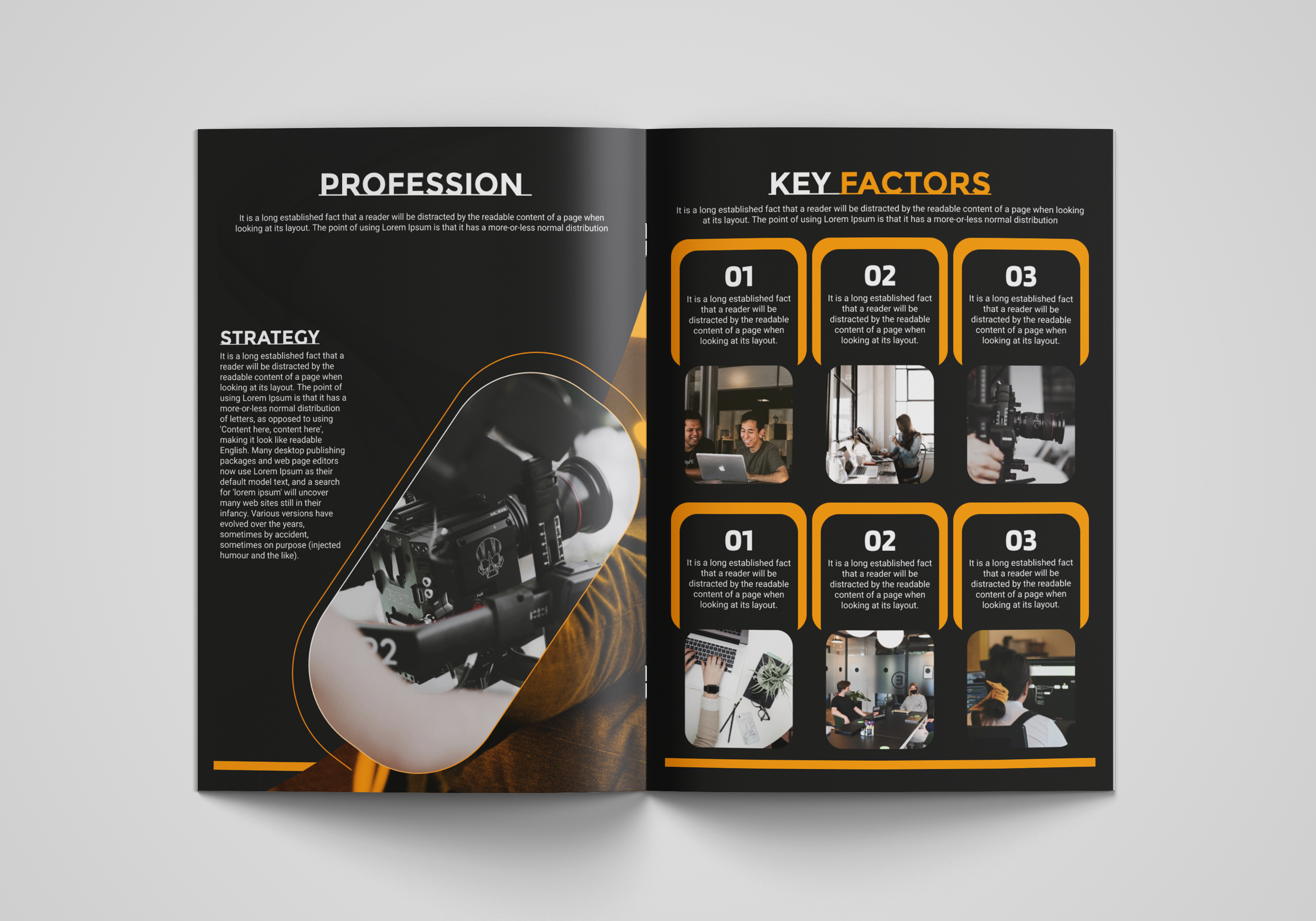 Example of Company Profile /Business Report Design