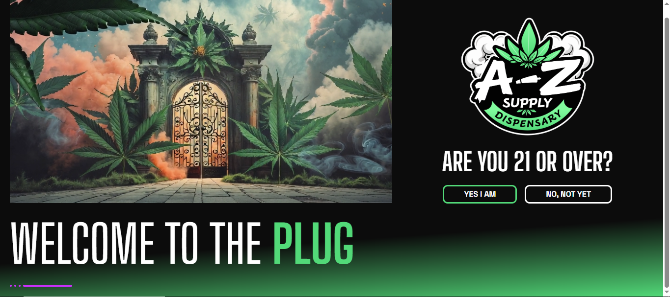 Example of Business Website Design & Development