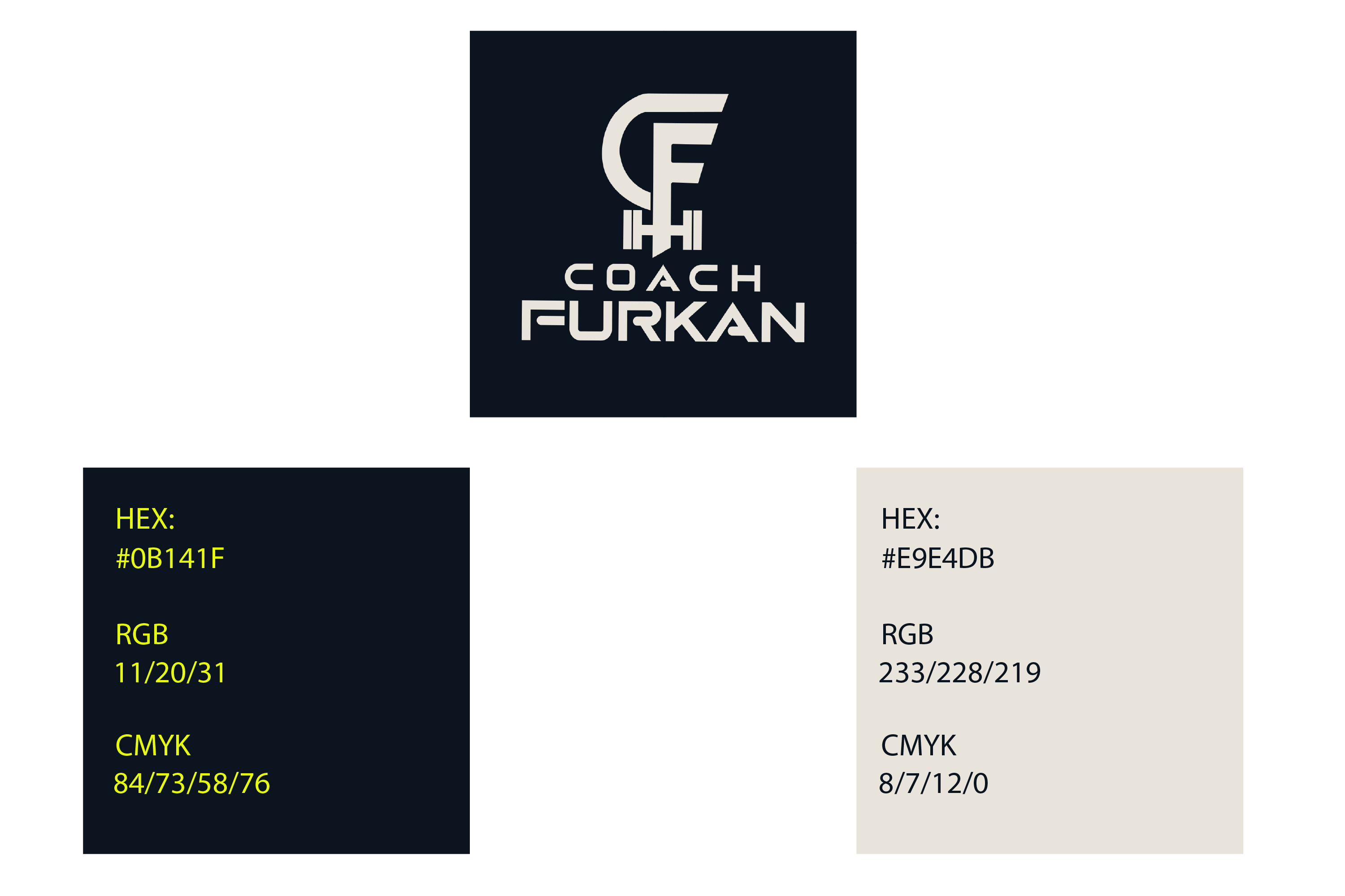 Example of Professional Logo Design