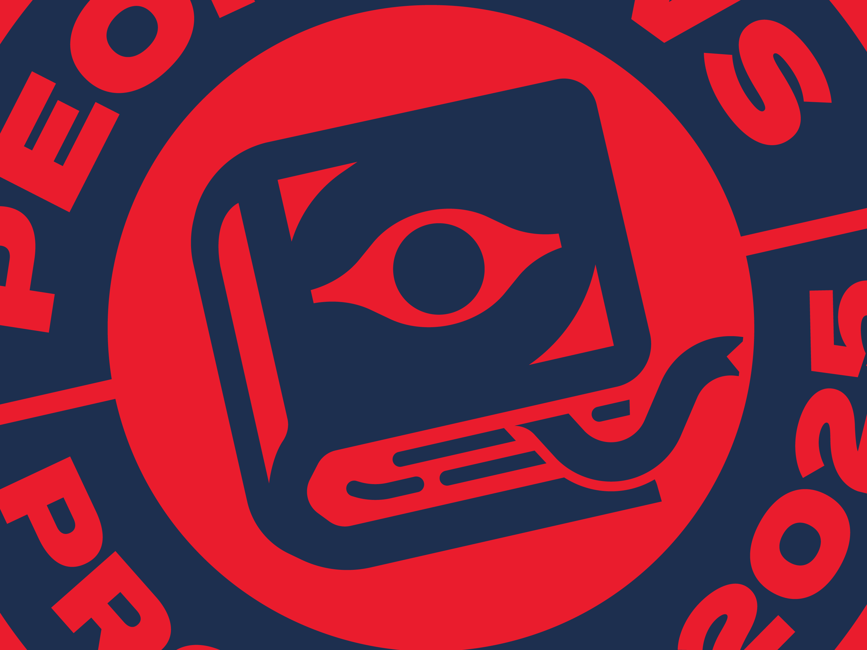Example of Identity Design : WIP Detail