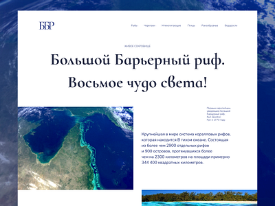 Longrid about the Great Barrier Reef design graphic design ui ux