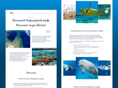 Longrid about the Great Barrier Reef design graphic design ui ux
