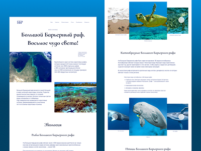 Longrid about the Great Barrier Reef design graphic design ui ux