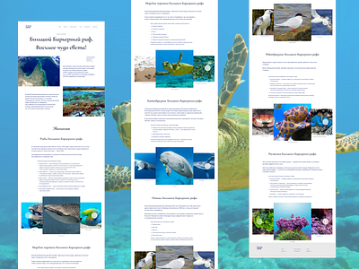 Longrid about the Great Barrier Reef design graphic design ui ux