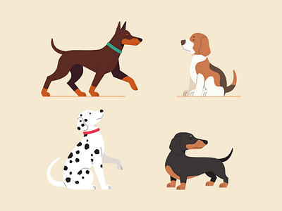 Cute pets. Dogs. graphic design illustration isolated vector