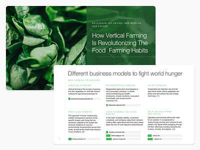 Turning Raw Data into Impactful Slides branding creativeprocess datavisualization deckdesign designinspiration dribbbleshots graphic design graphicdesign pitchdeck powerpointdesign powerpointtemplate presentationdesign slidedesign typography uiux visualdesign