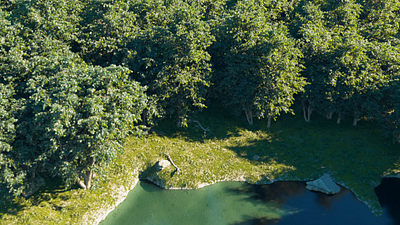 The Living Forest – FUR & Environment dtmstudio