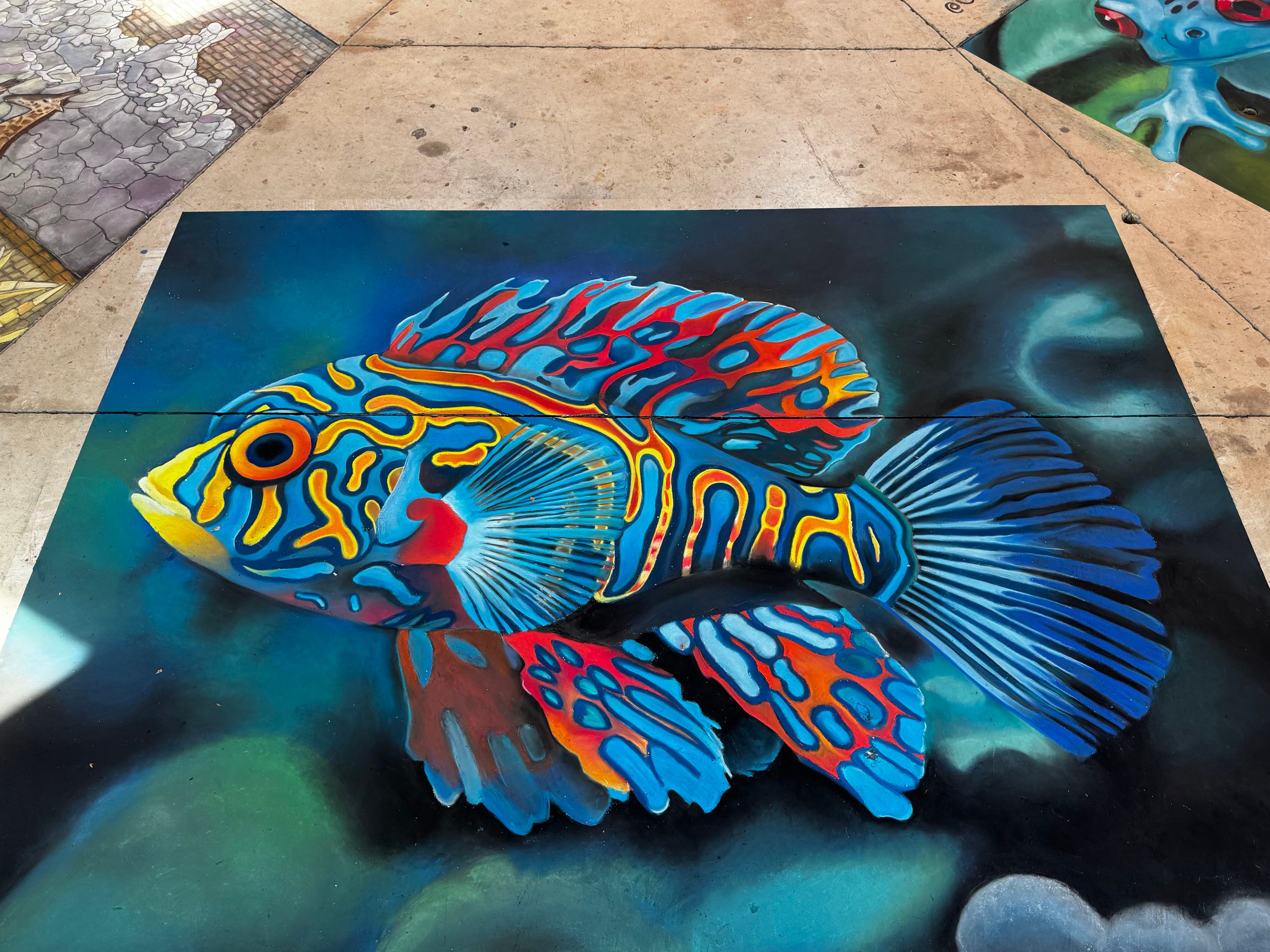Mandarin Fish Chalk Mural aquatic art chalk chalk art chalk festival chalk mural chalk walk fish large format pastel soft pastel soft pastels street art tropical fish
