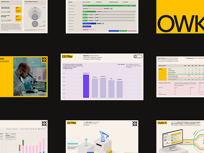 Zajno Pitch Deck Teaser biotech data visualisation pitch deck presentation zajno