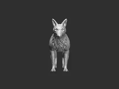 Fox 3D Model and Sculpting – ZBrush & Blender 3d 3d sculpting blender illustration zbrush