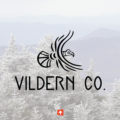 Vildern Co. logo concept branding graphic design logo