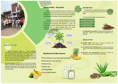 Brochure branding design graphic design illustration typography vector