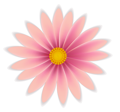Digital petal branding graphic design illustration vector