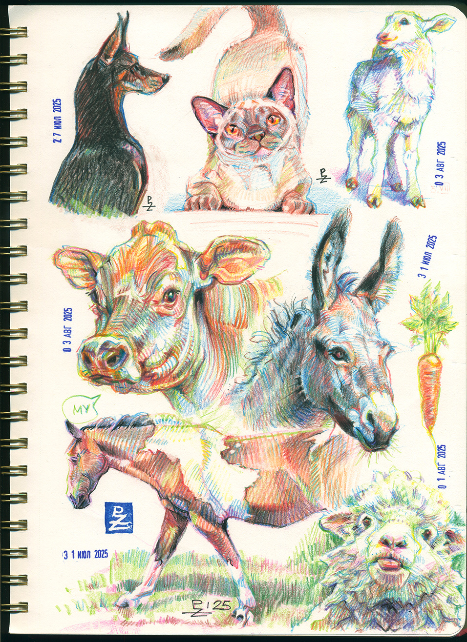 daily practice [colored pencils] animals colored pencils drawing farm illustration sketch sketchbook traditional art