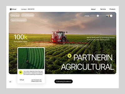 Website Design 3d animation appdesign branding design logo motion graphics ui vector
