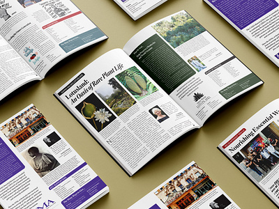 Layout Design for Annual Magazine editorial design glossy graphic design layout layout design magazine magazine design nonprofit print print design print production