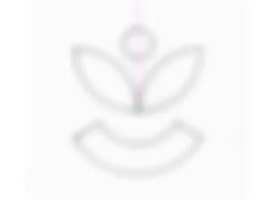 Natural Minimalist Logo brandidentity golden ratio logo graphicdesigner illustration logocreator logodesigner logoinspiration logomaker logotypedesign minimal logo modern logo monogram logo natural logo natural minimalist logo unique logo