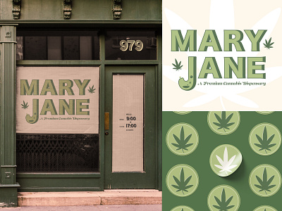 Mary Jane brand concept brand design branding cannabis concept design design dispensary graphic design logo