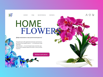 Flower shop design graphic design illustration ui ux