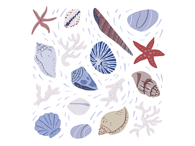 Seashells beach clam cockleshell coral doodle illustration marine mollusk ocean oyster sea seashore shell shellfish shore sketch star starfish summer vacation