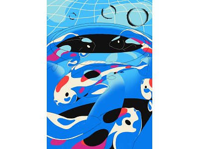 Koi on The Bowl fish illustration koi