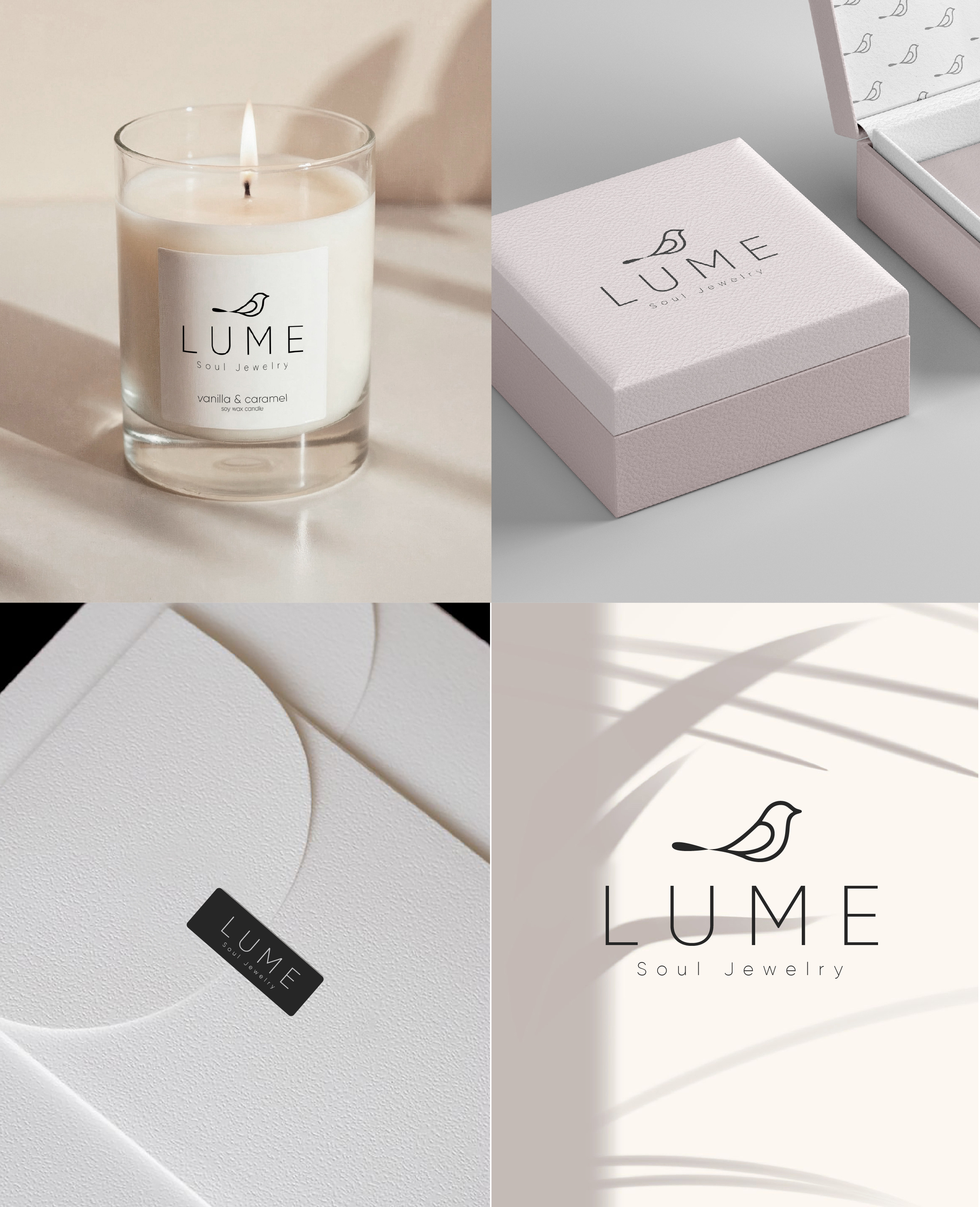 Logo branding design graphic design illustration logo vector
