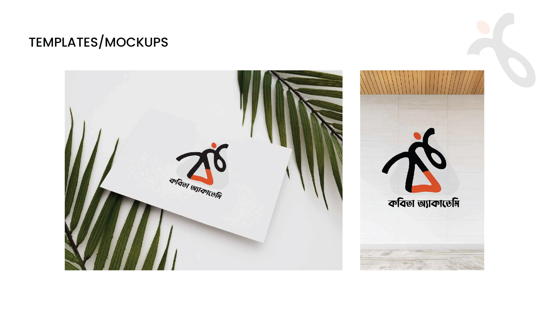 Example of Full Brand Identity + Style Guide (Pro)