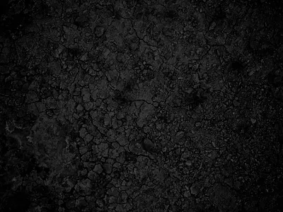 Hawks animation illustration logo motion design motion graphics