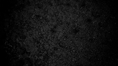 Hawks animation illustration logo motion design motion graphics