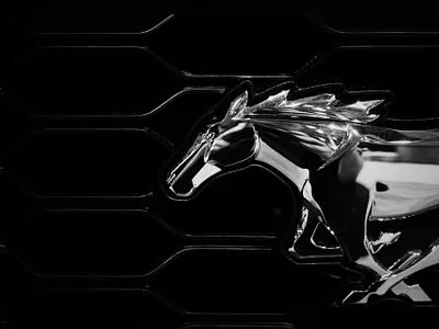 Design or Logo animation branding graphic design logo