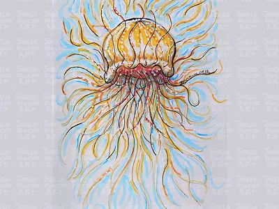 Flowy Jellyfish jellyfish lover