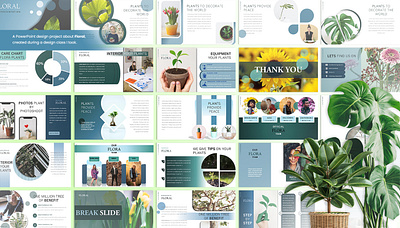 Presentation Design information