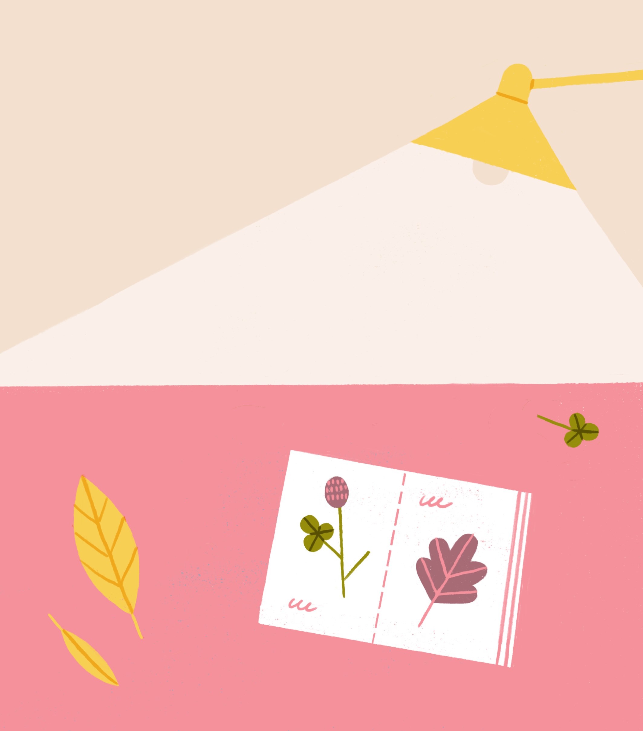 Treasures book clover collection dry flowers herbarium illustration lamp leaves memories notebook procreate texture