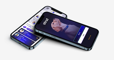 Strut - A pet care case study app design ux