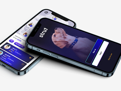 Strut - A pet care case study app design ux