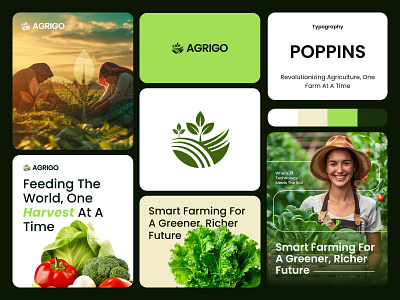 AGRIGO - Agricultural Branding Design 3d ai animation app design brand brand design brand identity brandidentity branding design graphic design green health illustration logo marketing minimalist logo techwitpro ui wellness