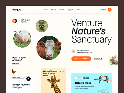 Resqora - Saving Animals Campaign website animal animal planet campaign charity donation event landing page landingpage non profit non profit organisation save animal save world saving animal volunteer web design web interface webdesign website design website designer wildlife