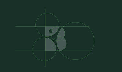 BTK Rebranding b letter logo b logo branding circle logo clinic logo golden ratio logo health logo letter logo logo logo icon logomark rebranding