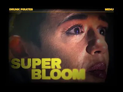 Drunk Pirates animation branding concept design illustration logo portfolio ui ukraine web