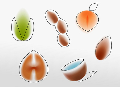 Nuts art blur food gradient icon illustration line nature nut vector