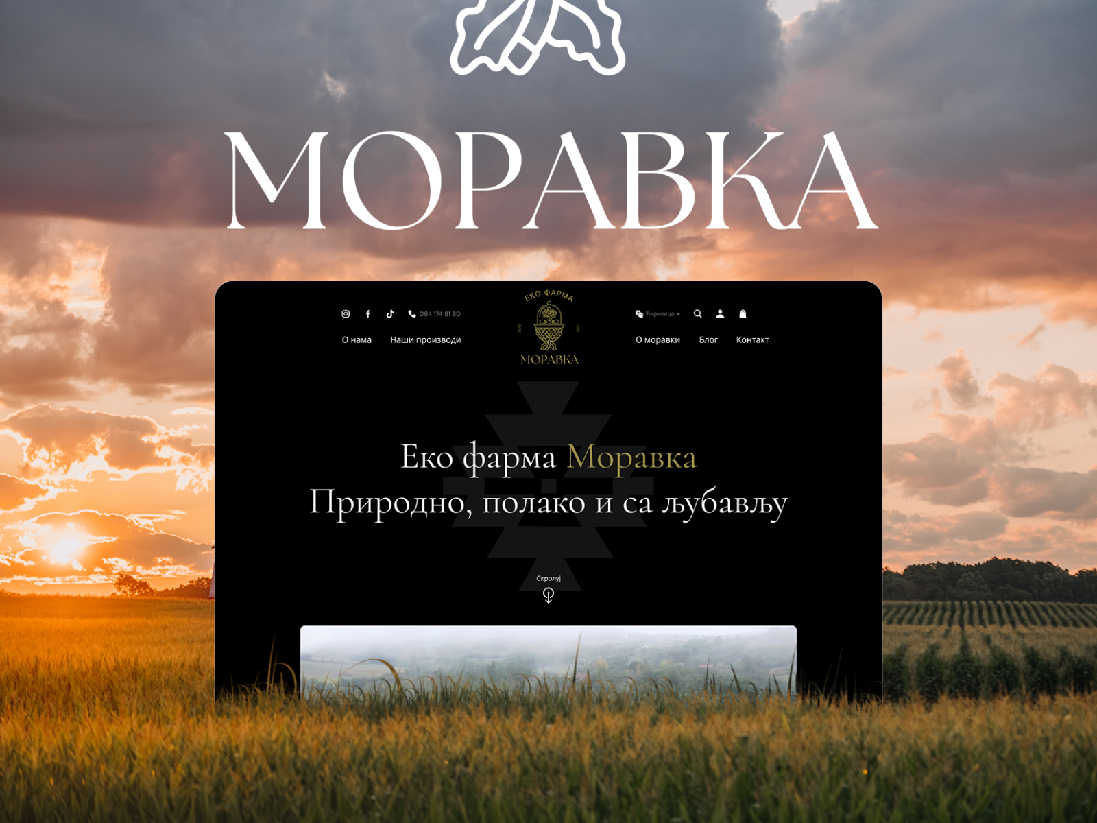 Crafting a Premium Digital Presence for Eko Farma Moravka farm to table