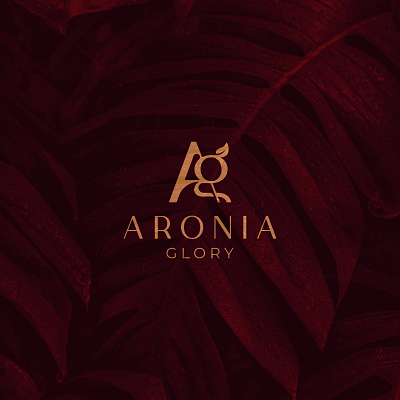 A lifestyle brand Logo designcasestudy