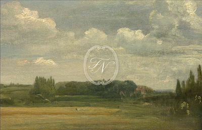 Wine Branding and Packaging branding design graphic design logo mockup packaging typography