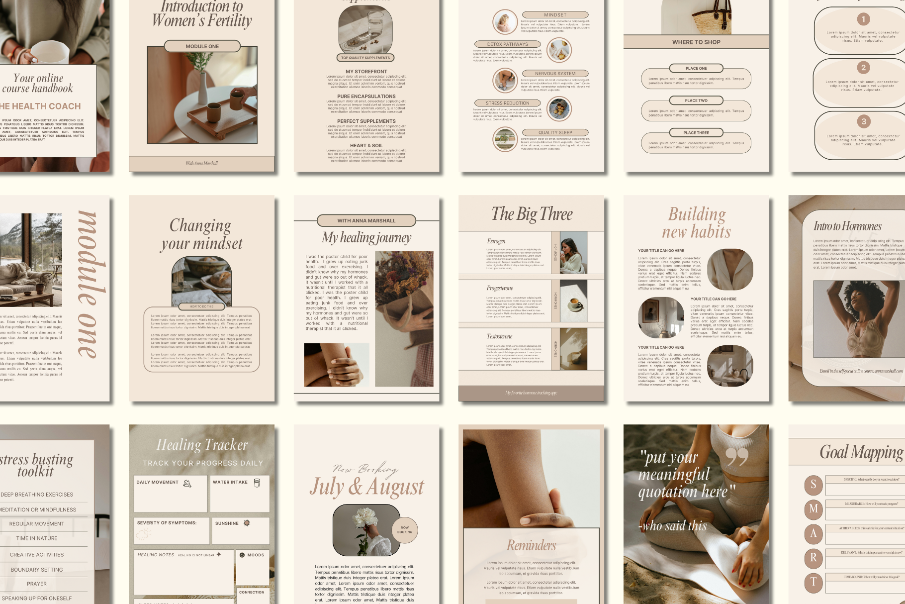 Example of Canva Wellness Workbook Template