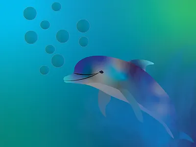 Dolphin animal design dolphin illustration