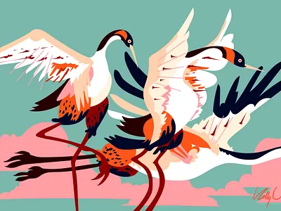 C Birds III bird watching birding birds branding cactus caracara cormorant corvids cranes crow desert flight graphic design illustration orinthology party sea sky type water