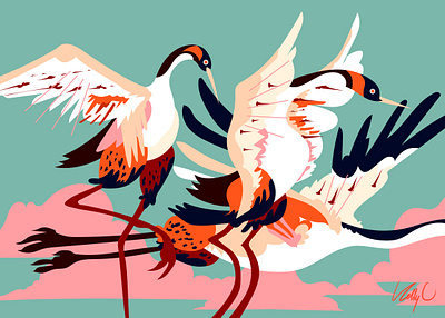 C Birds III bird watching birding birds branding cactus caracara cormorant corvids cranes crow desert flight graphic design illustration orinthology party sea sky type water