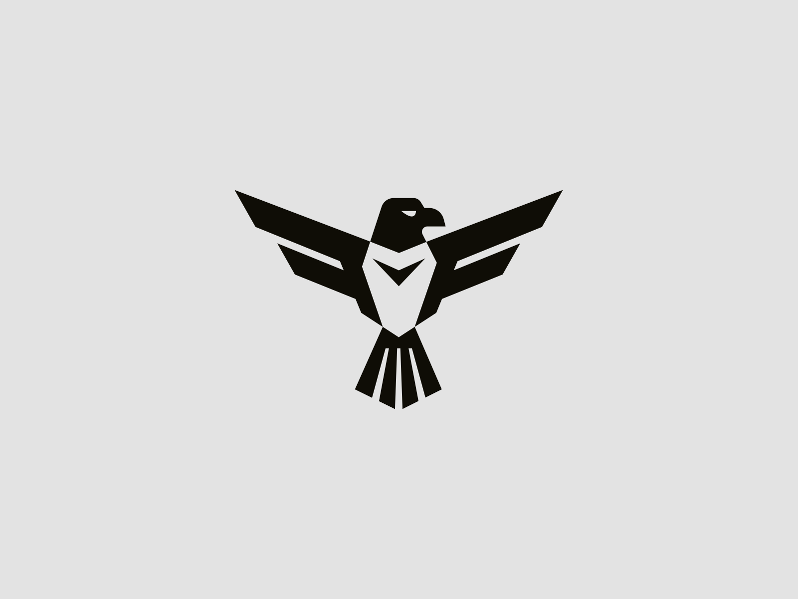 Eagle and letter F brand branding design eagle elegant f falcone graphic design hawk letter logo logo design logo designer logodesign logodesigner logotype minimalism minimalistic modern